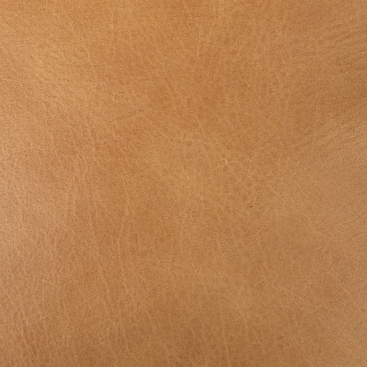 #color_sonoma-butterscotch