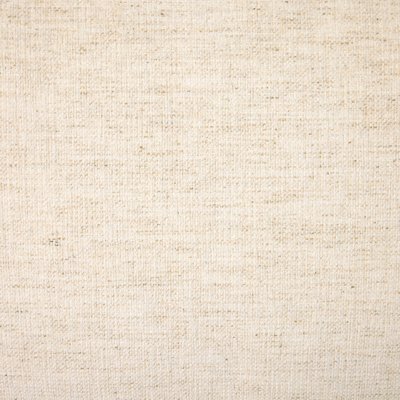 #color_crypton-nomad-snow