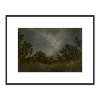Seeds Of Light By Lina Gordievsky by Four Hands