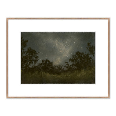 Seeds Of Light By Lina Gordievsky by Four Hands