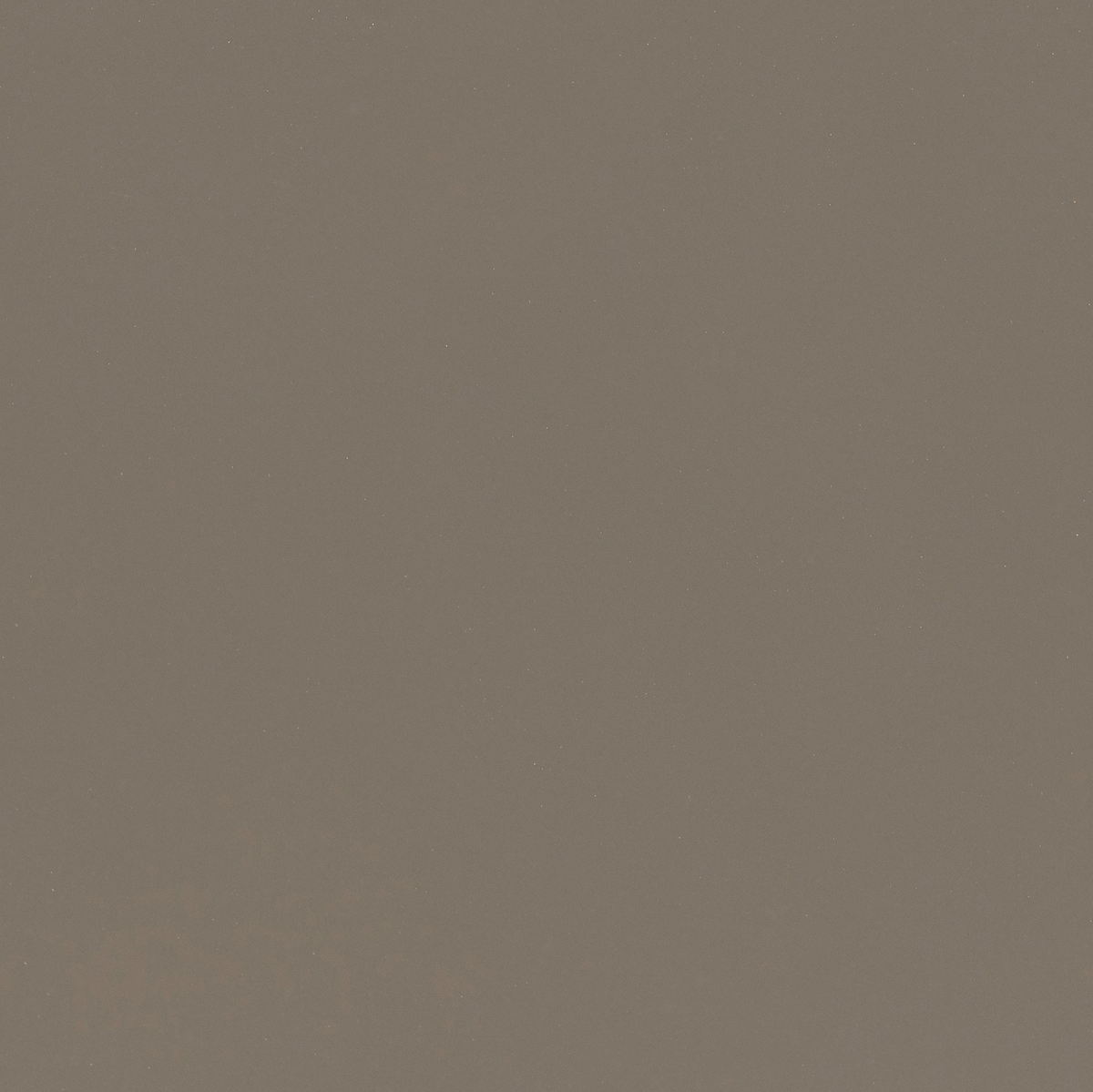#color_olive-lacquer