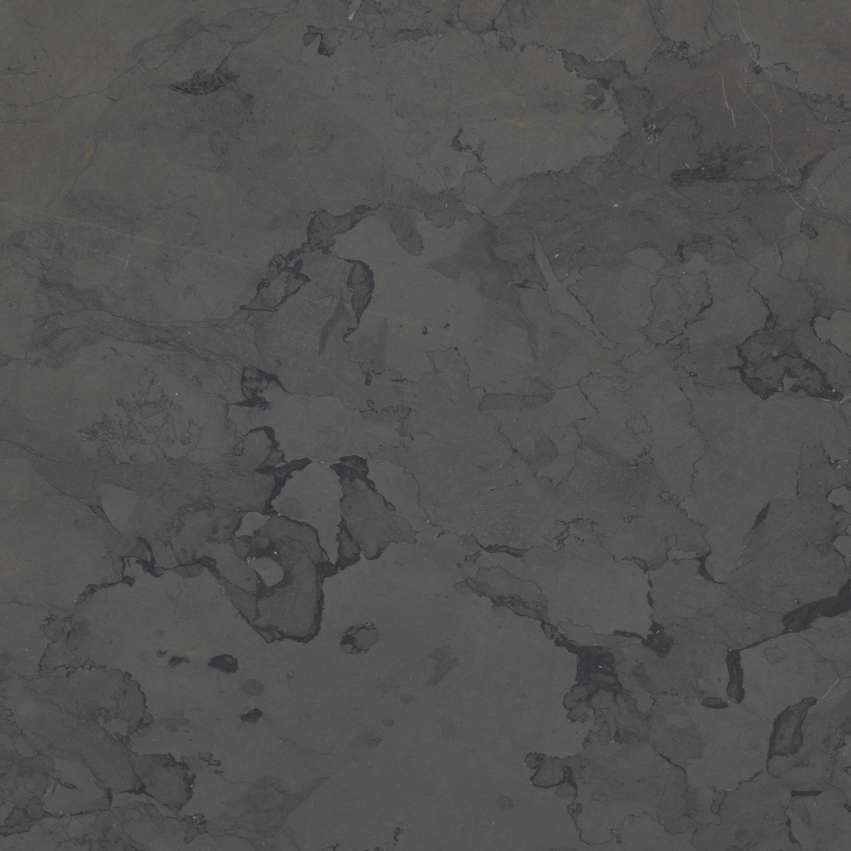 #color_grey-italian-marble