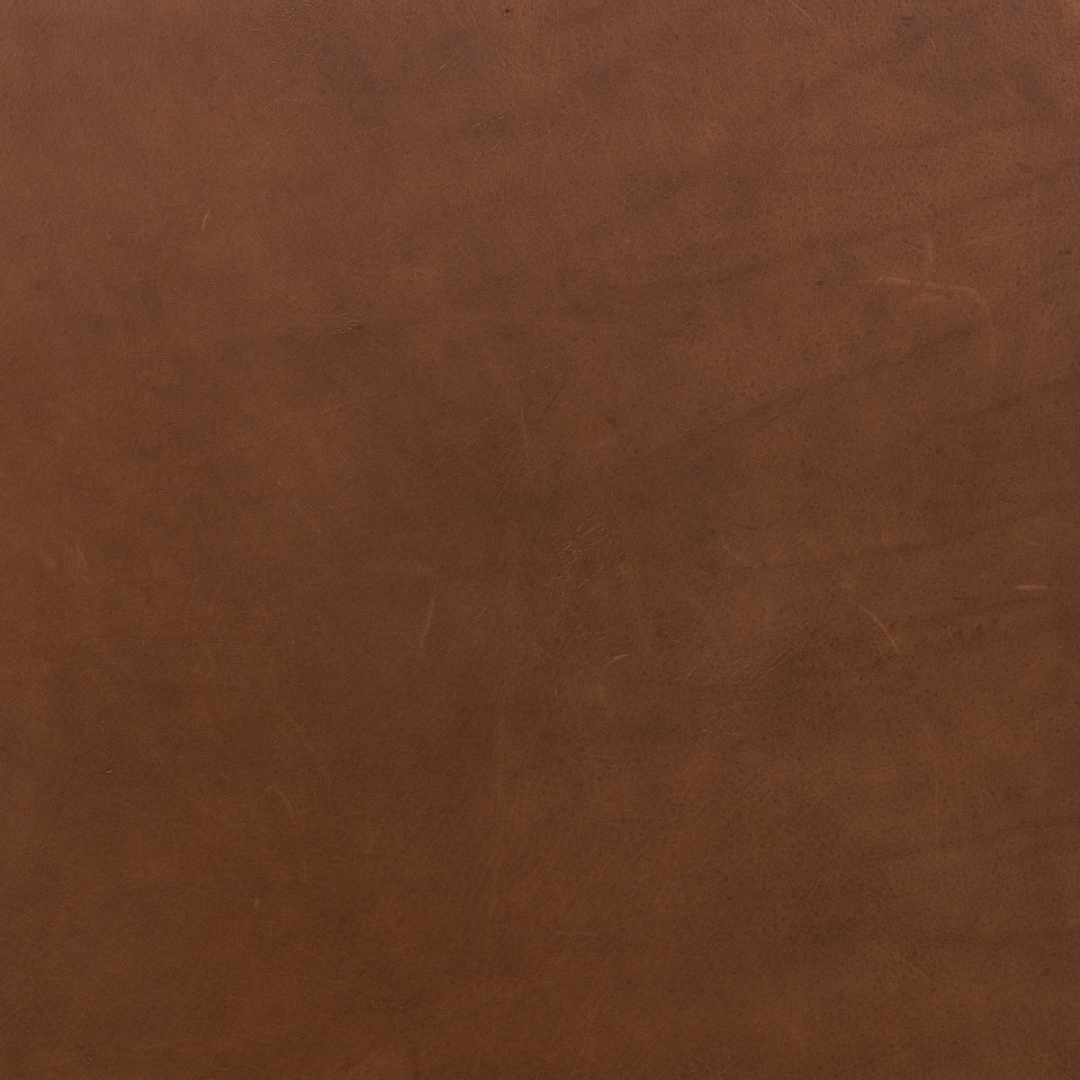 Rane Bed by Four Hands