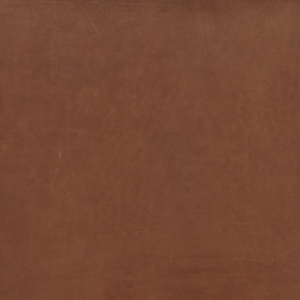 Rane Bed by Four Hands