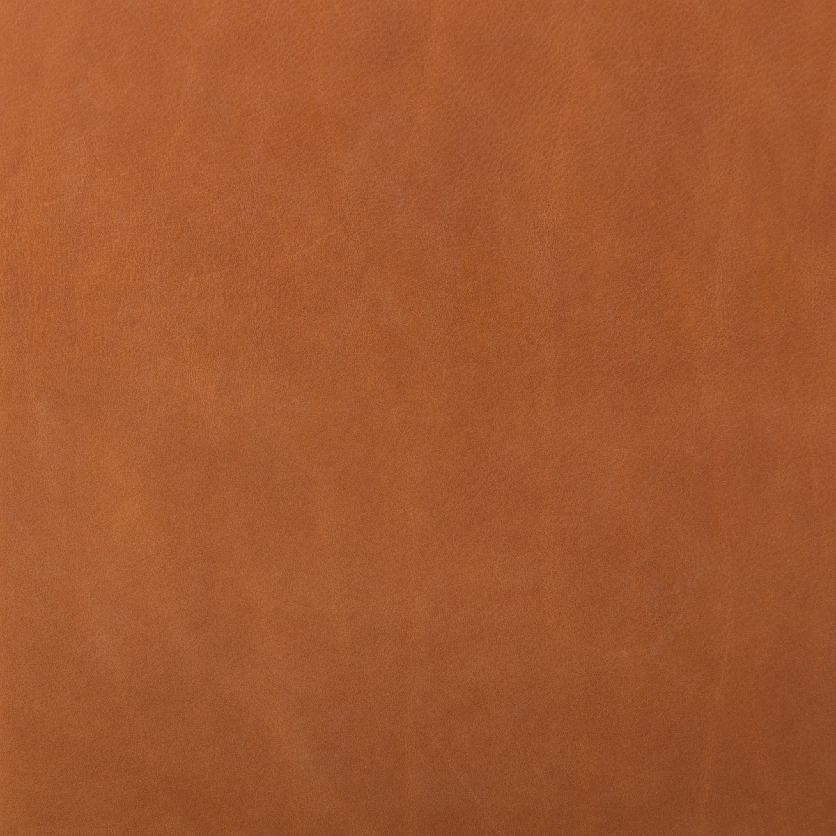 #color_lorento-cognac