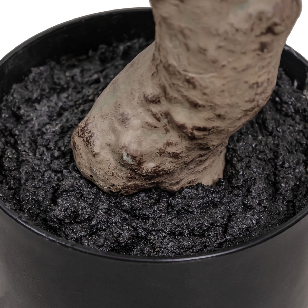 #color_faux-aralia-tree