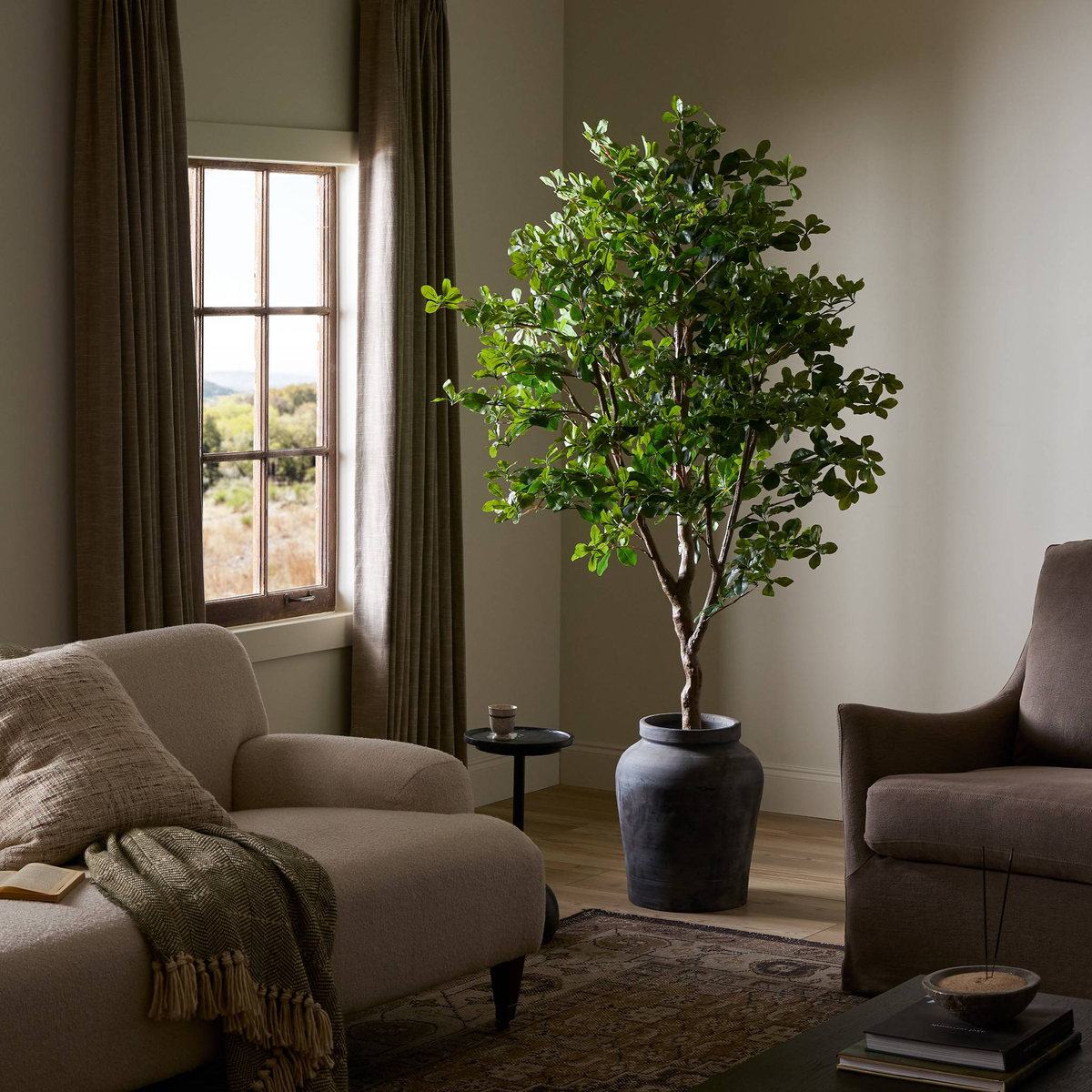 #color_faux-aralia-tree