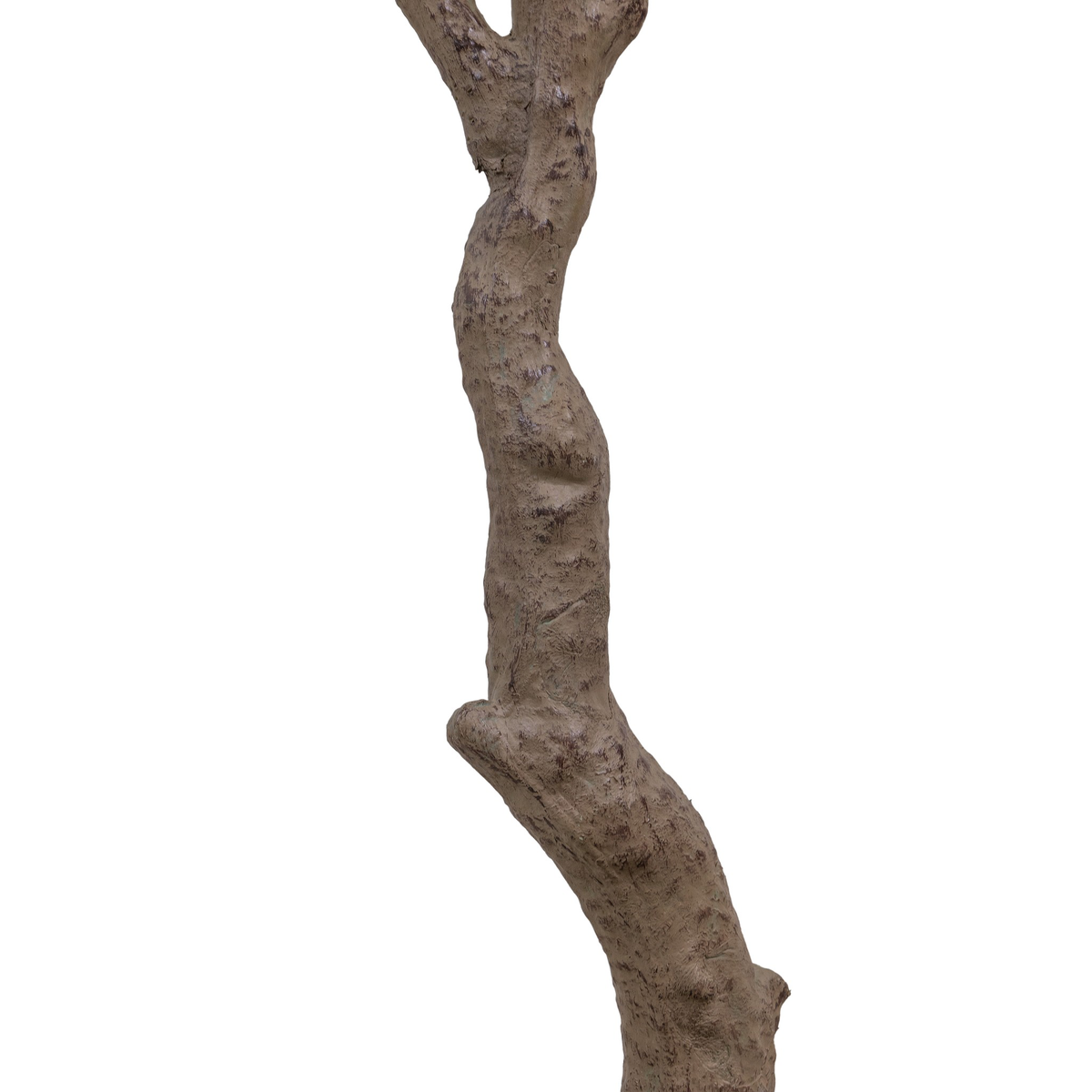 #color_faux-aralia-tree