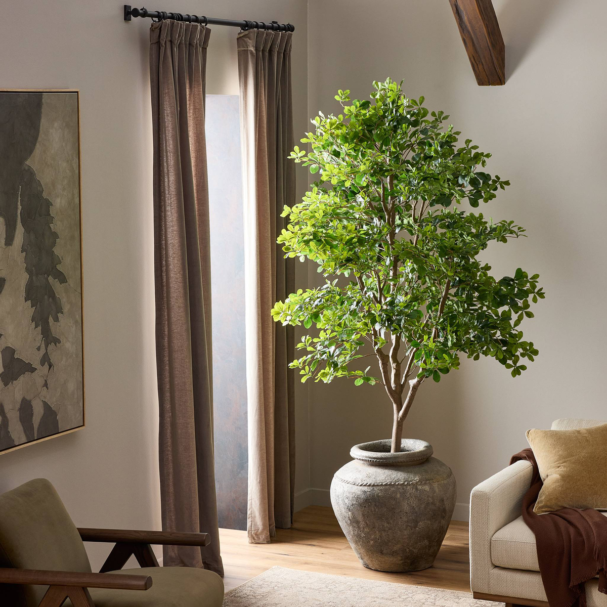 #color_faux-aralia-tree