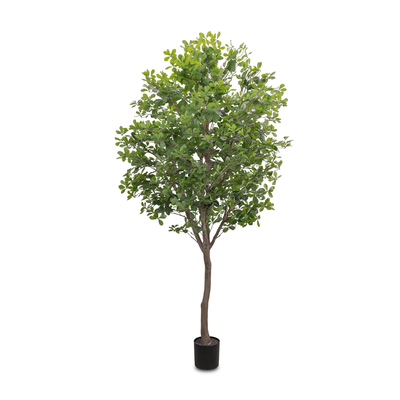 Faux Aralia Tree by Four Hands
