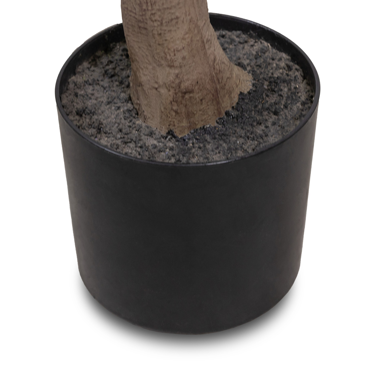 #color_faux-aralia-tree