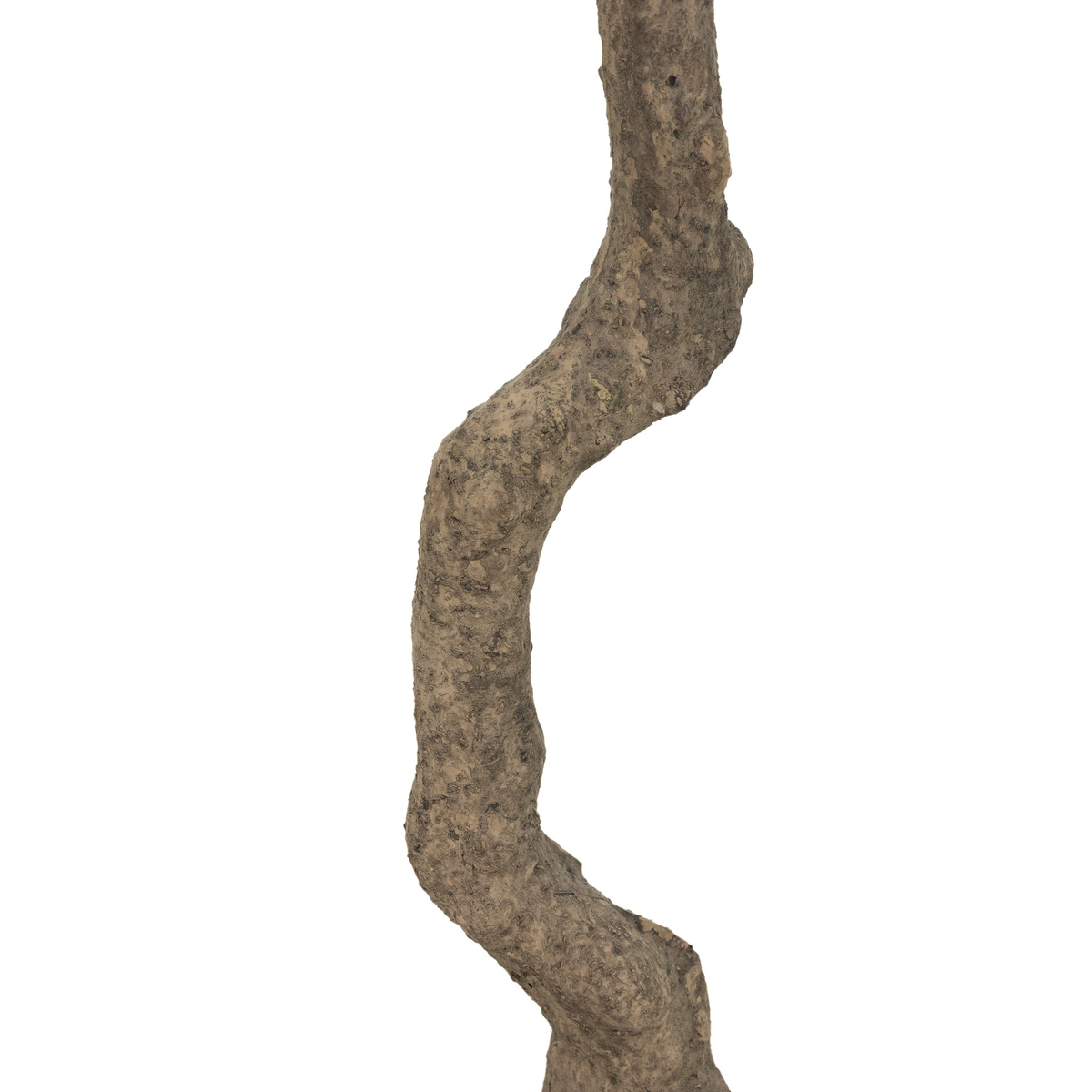#color_faux-olive-tree