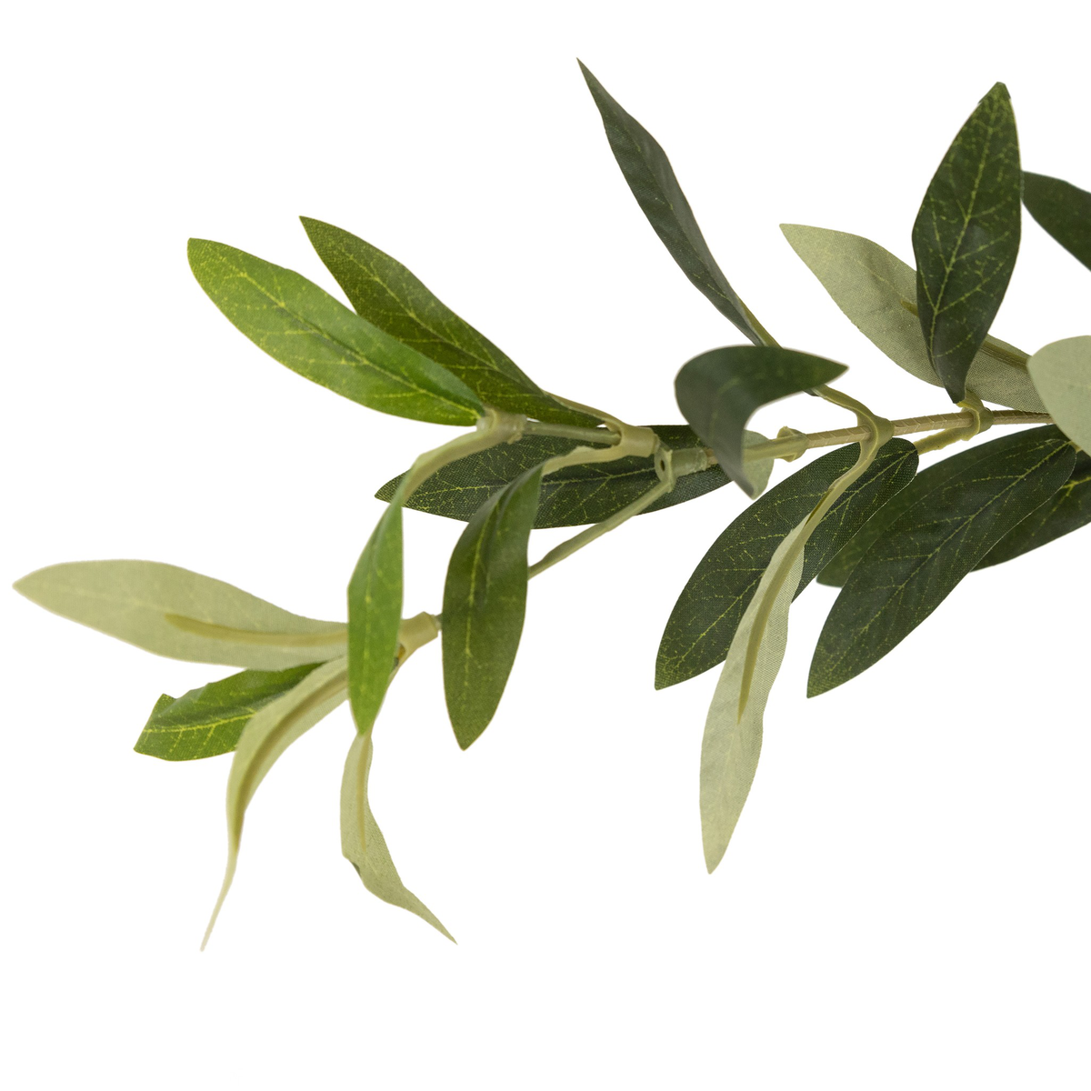 #color_faux-olive-tree