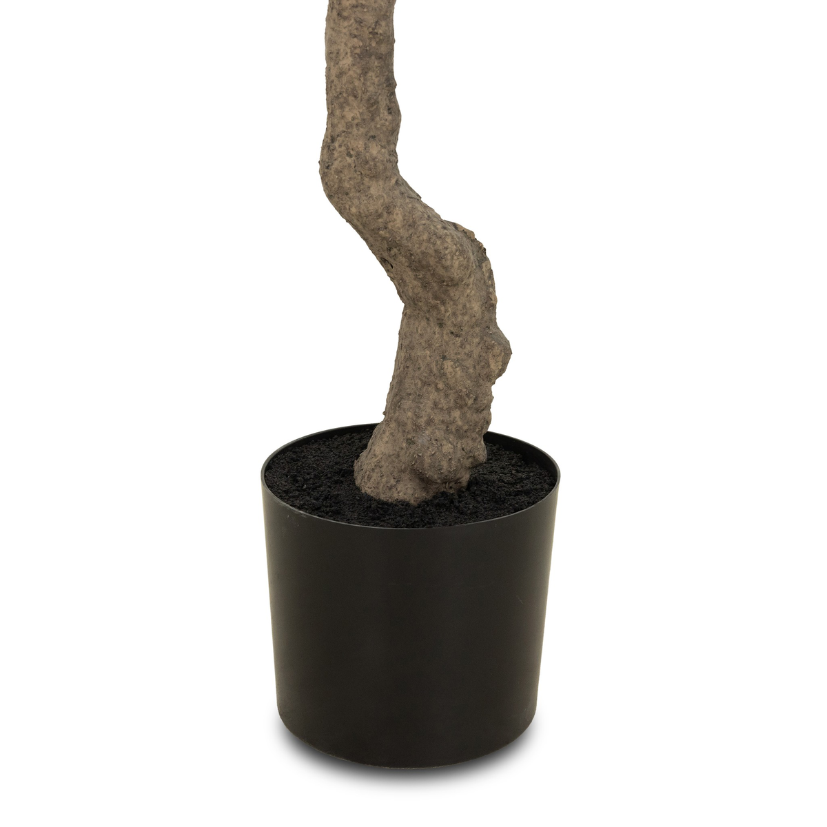 #color_faux-olive-tree