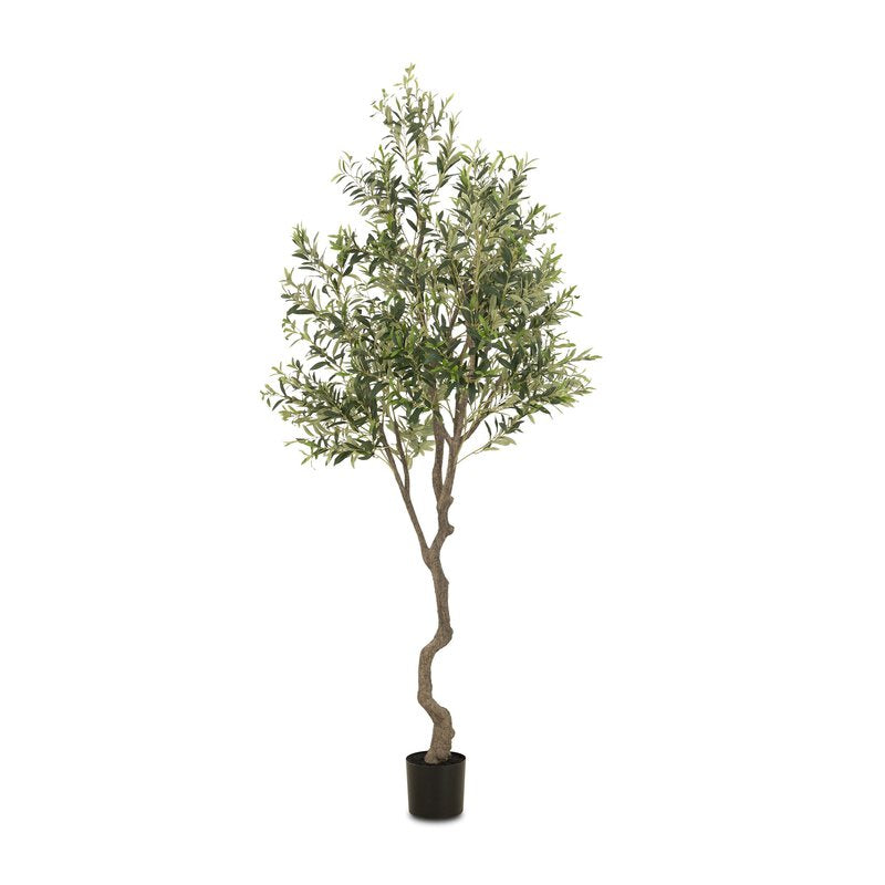 #color_faux-olive-tree