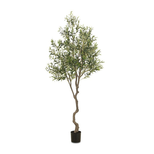 #color_faux-olive-tree