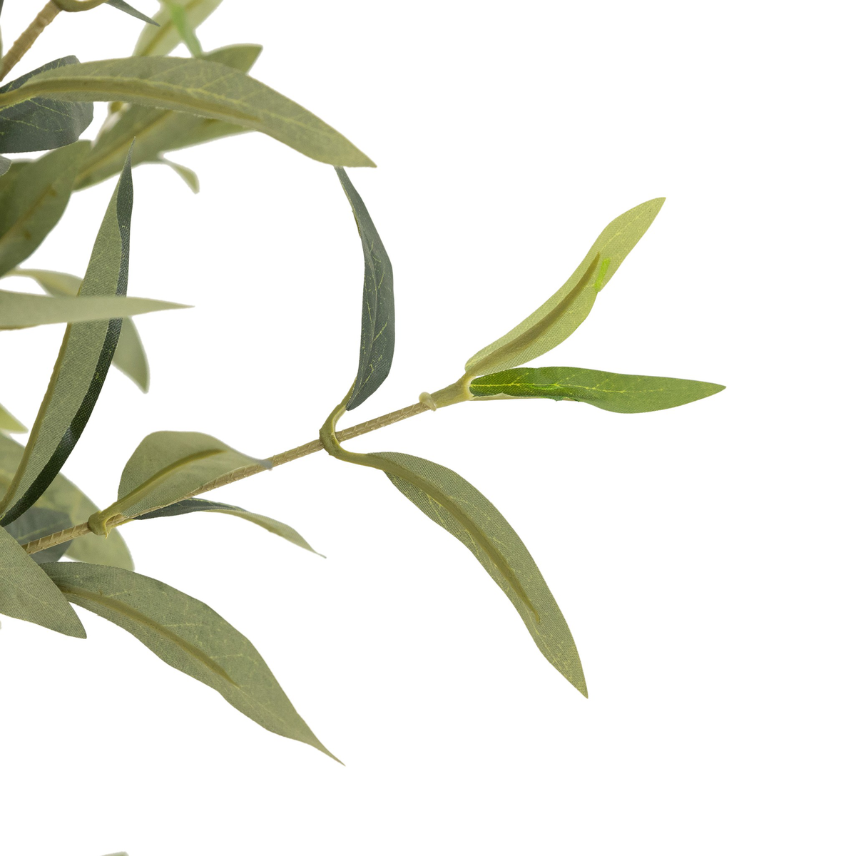 #color_faux-olive-tree
