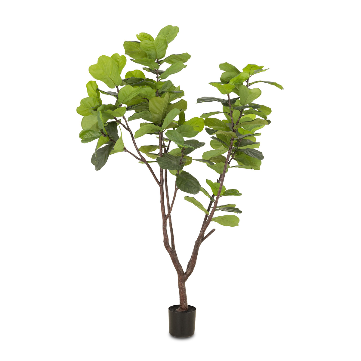#color_faux-fiddle-leaf-tree