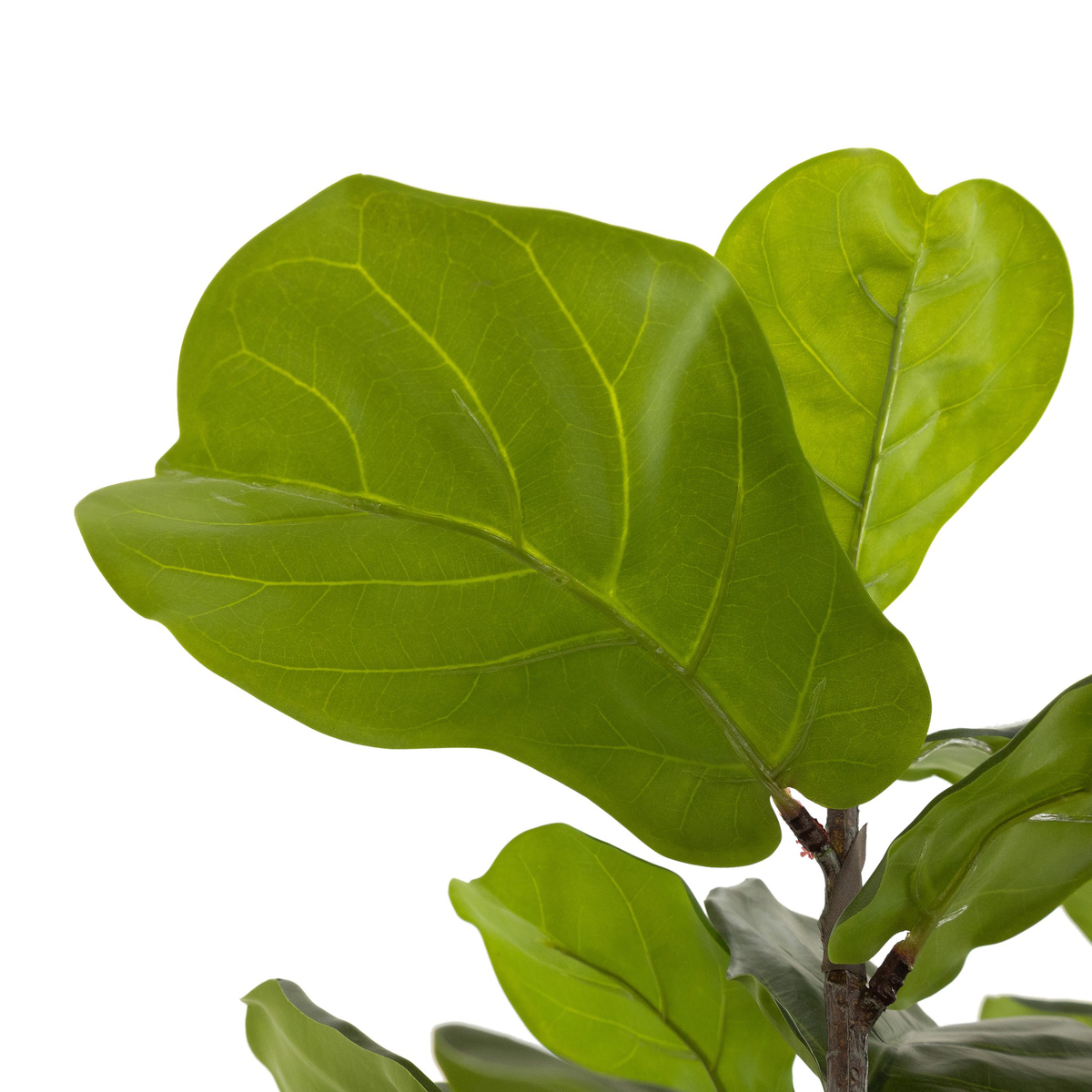 #color_faux-fiddle-leaf-tree