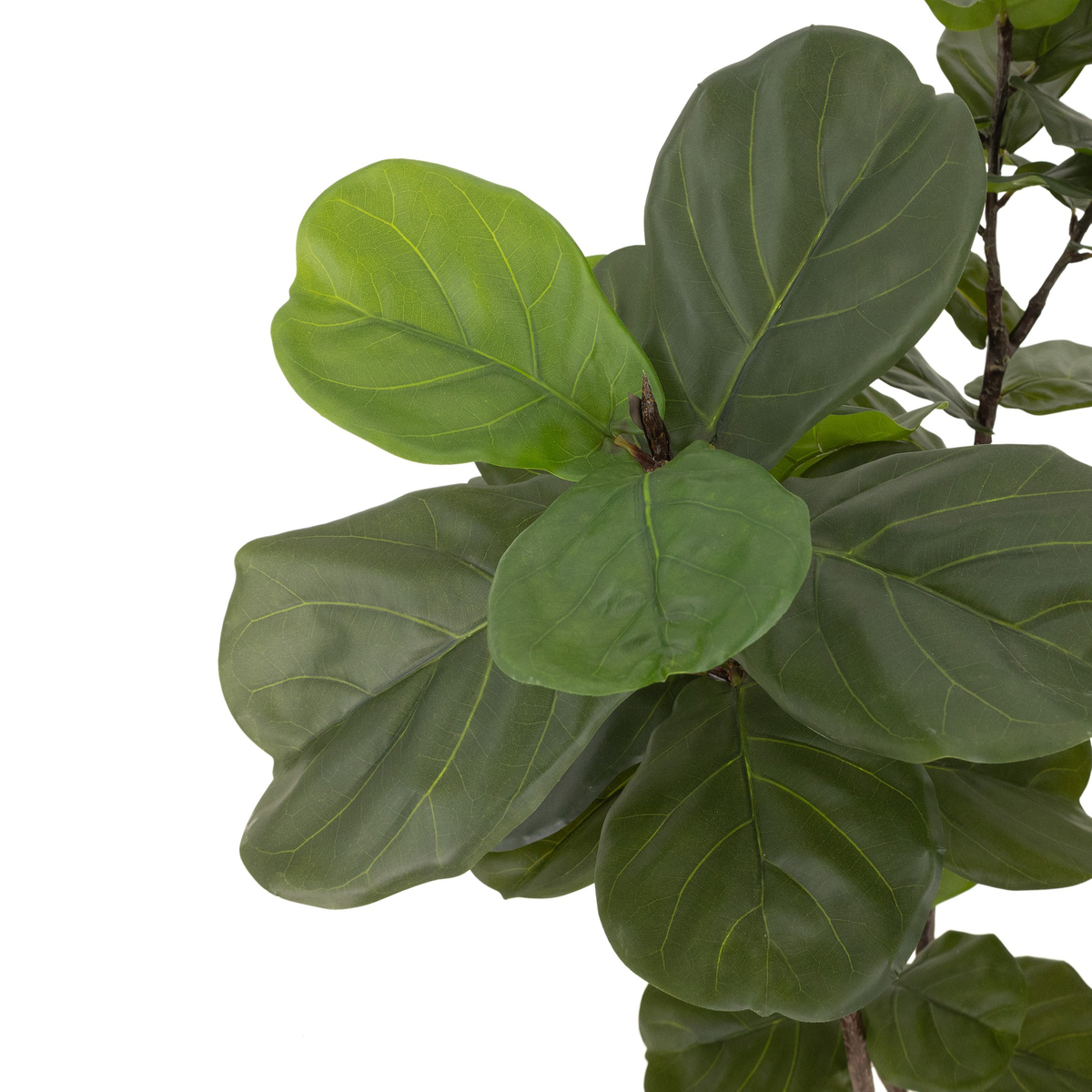 #color_faux-fiddle-leaf-tree