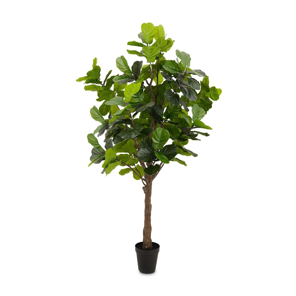 #color_faux-fiddle-leaf-tree