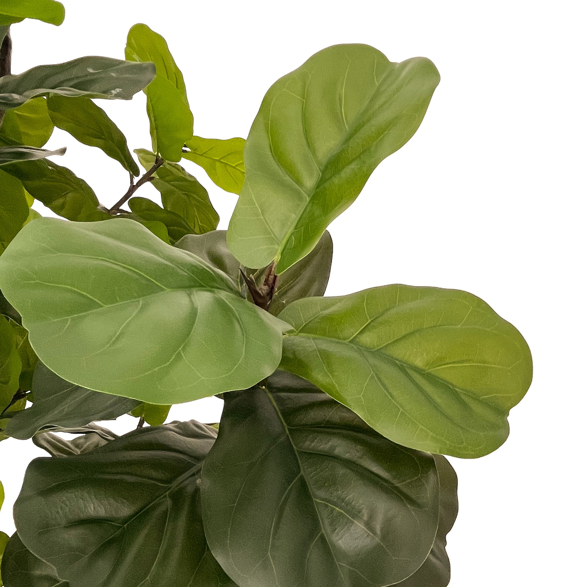 #color_faux-fiddle-leaf-tree