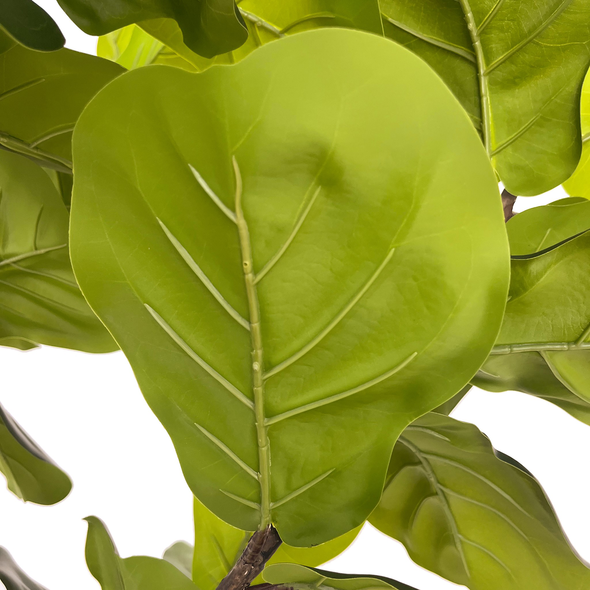 #color_faux-fiddle-leaf-tree