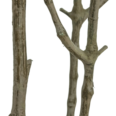 Faux Pieris Tree by Four Hands
