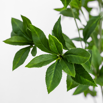 Faux Pieris Tree by Four Hands