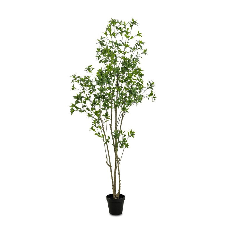 #color_faux-pieris-tree