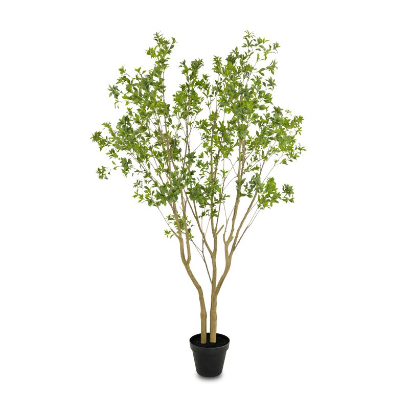#color_faux-pieris-tree