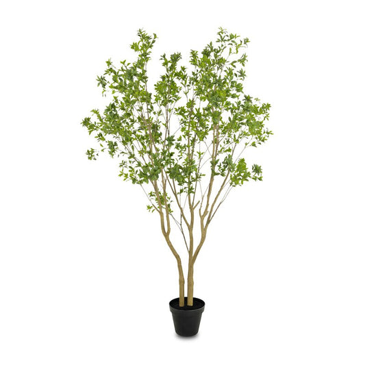 #color_faux-pieris-tree