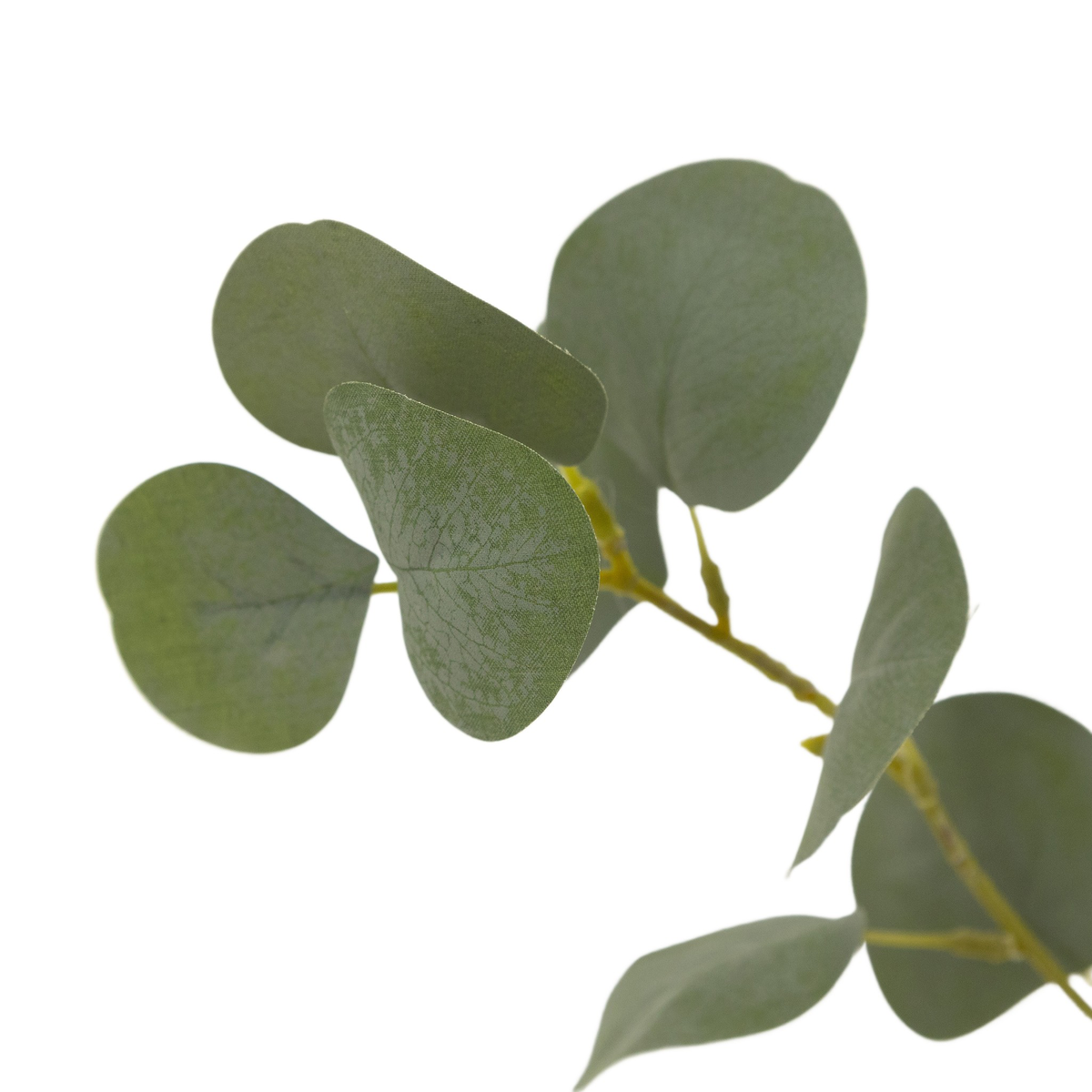 #color_faux-eucalyptus-tree