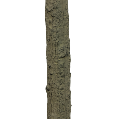 Faux Eucalyptus Tree by Four Hands