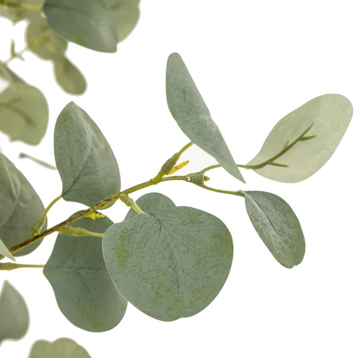 #color_faux-eucalyptus-tree