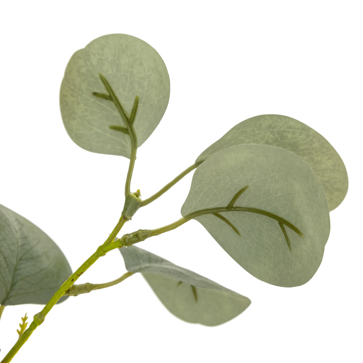 #color_faux-eucalyptus-tree