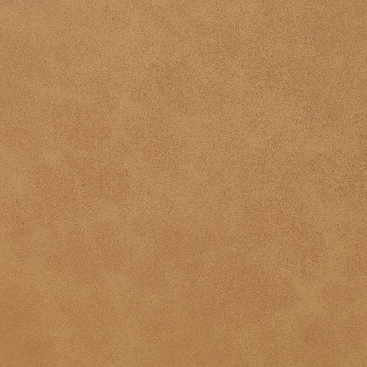 #color_maestro-camel