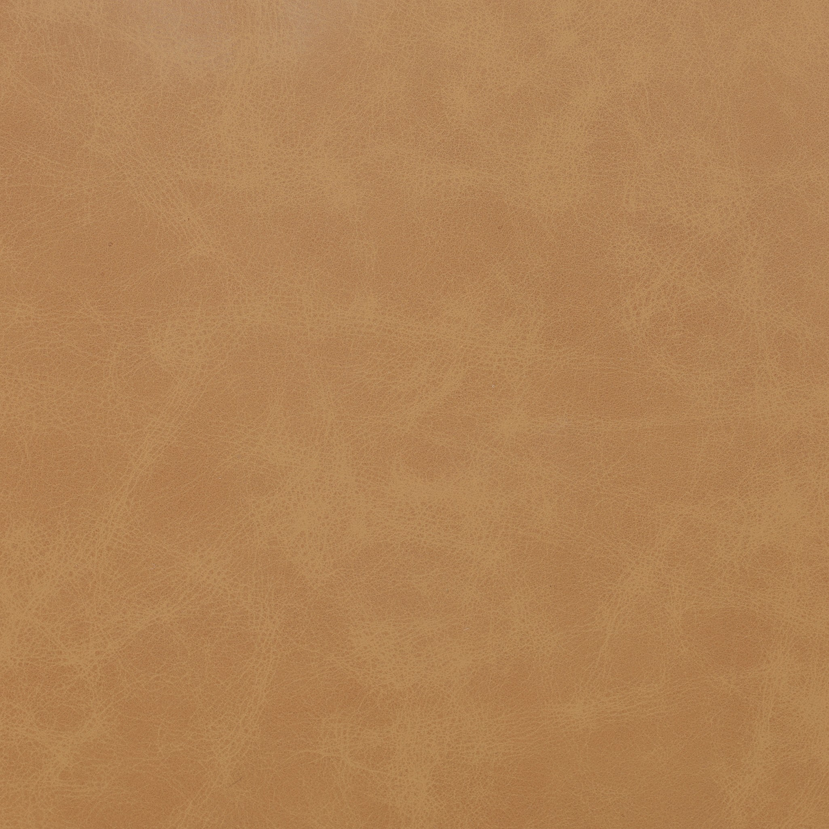 #color_maestro-camel
