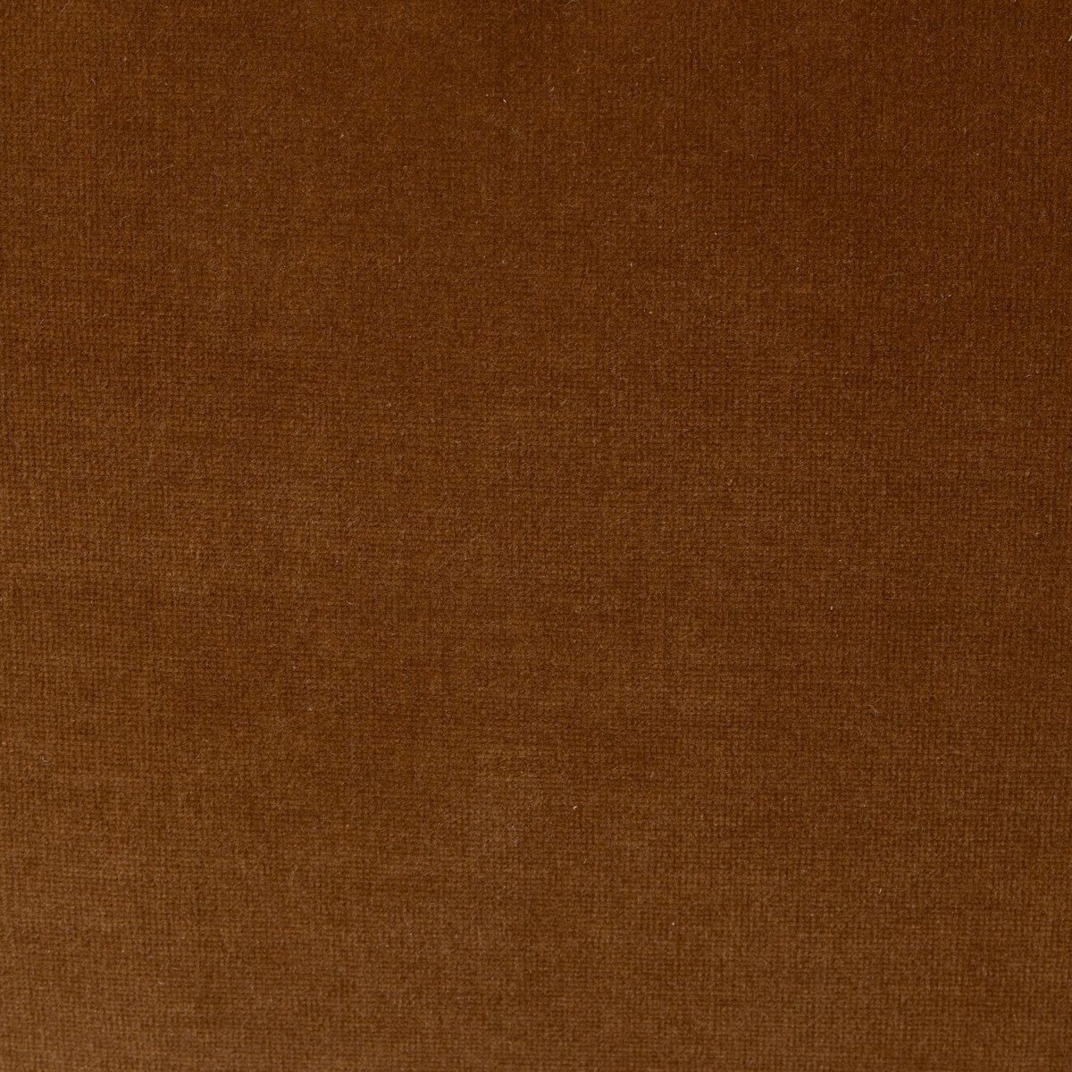 #color_surrey-ochre