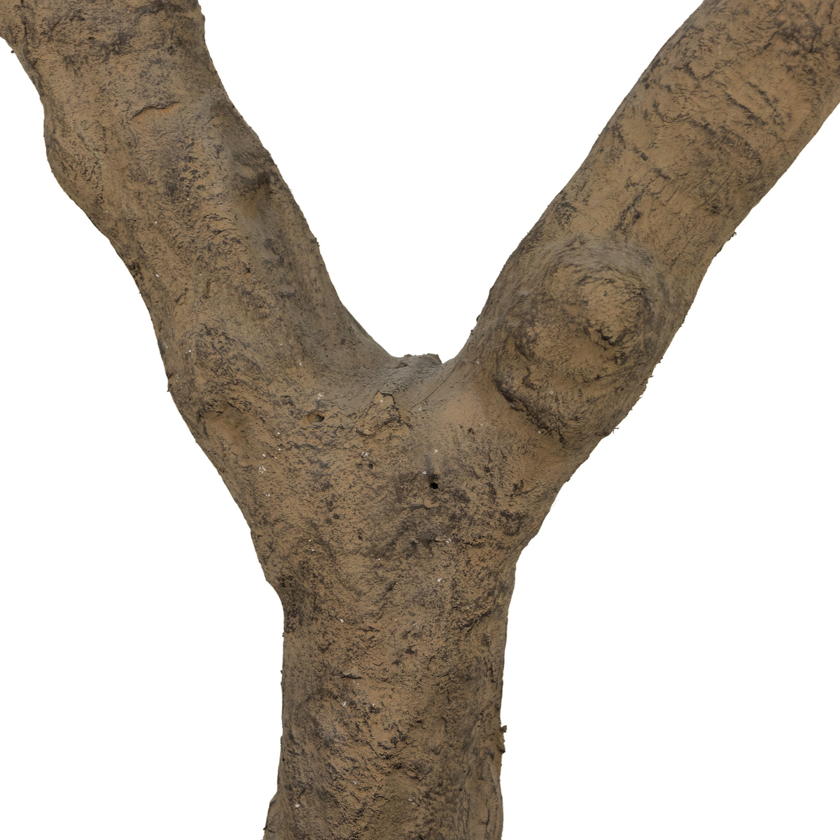 #color_faux-olive-tree-wide