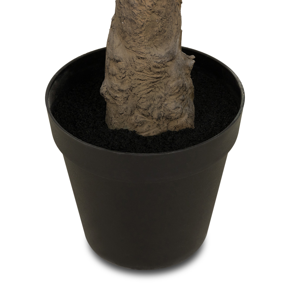 #color_faux-olive-tree-wide