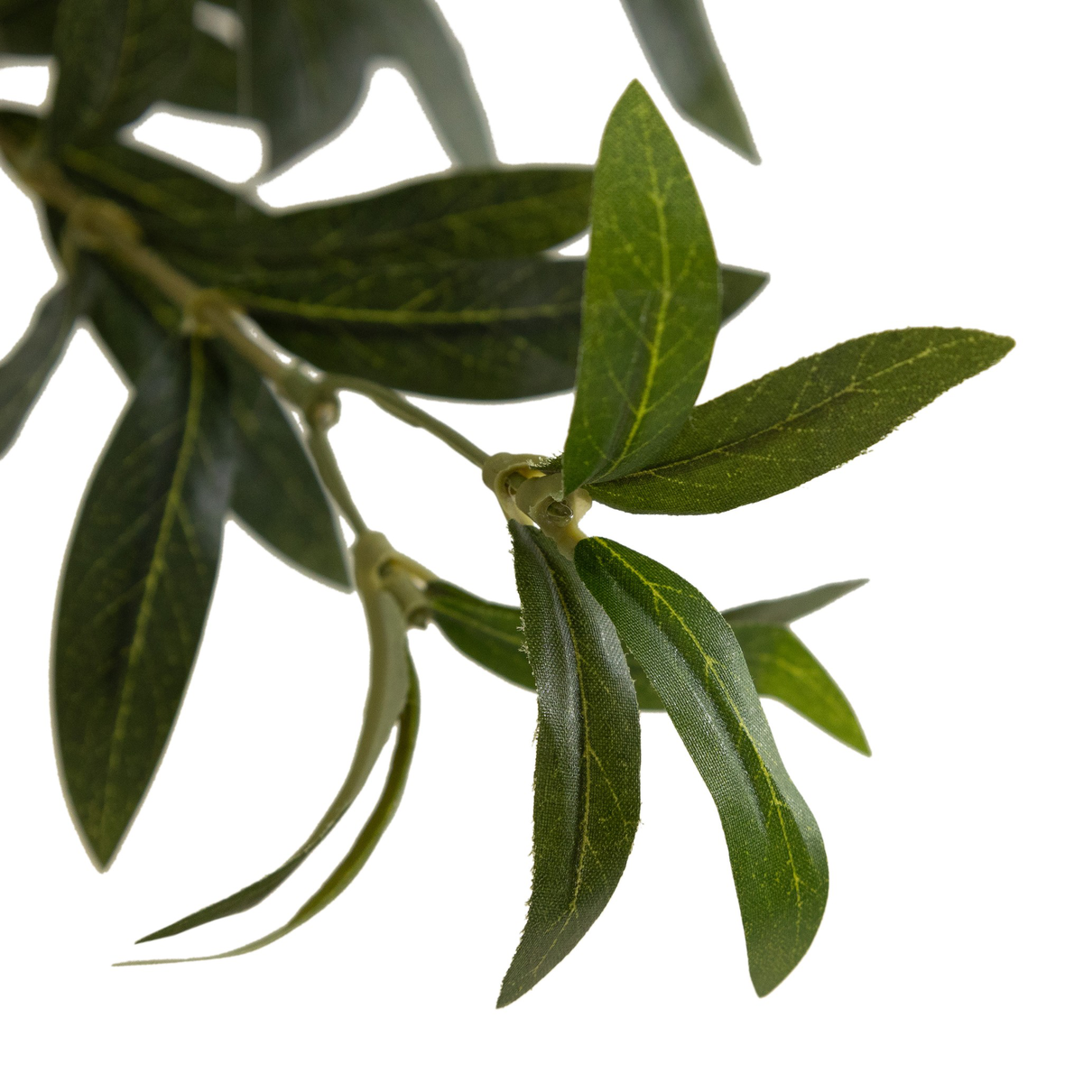#color_faux-olive-tree-wide