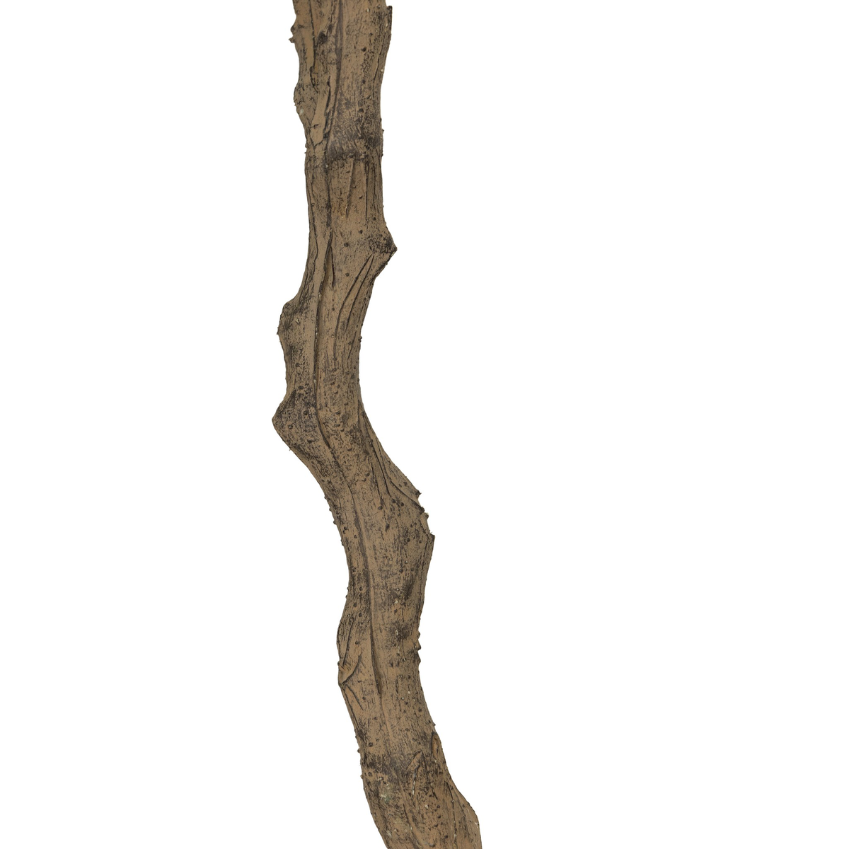#color_faux-olive-tree-wide