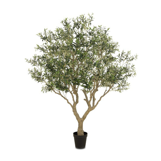 #color_faux-olive-tree-wide