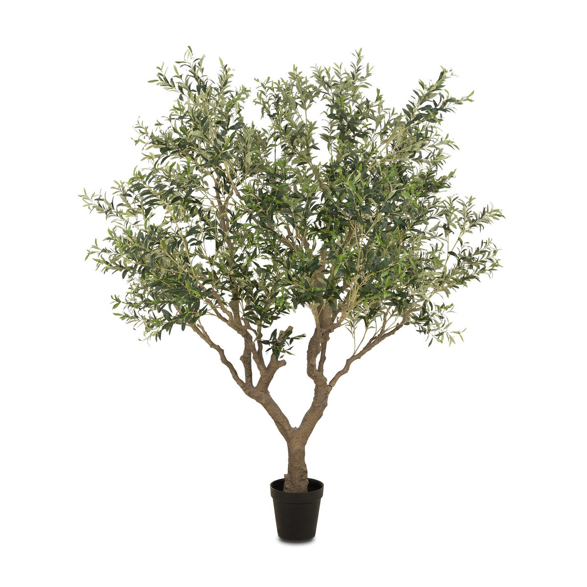 #color_faux-olive-tree-wide