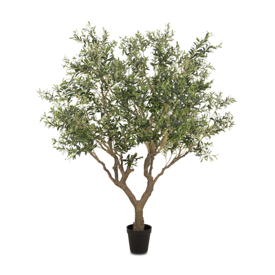 #color_faux-olive-tree-wide