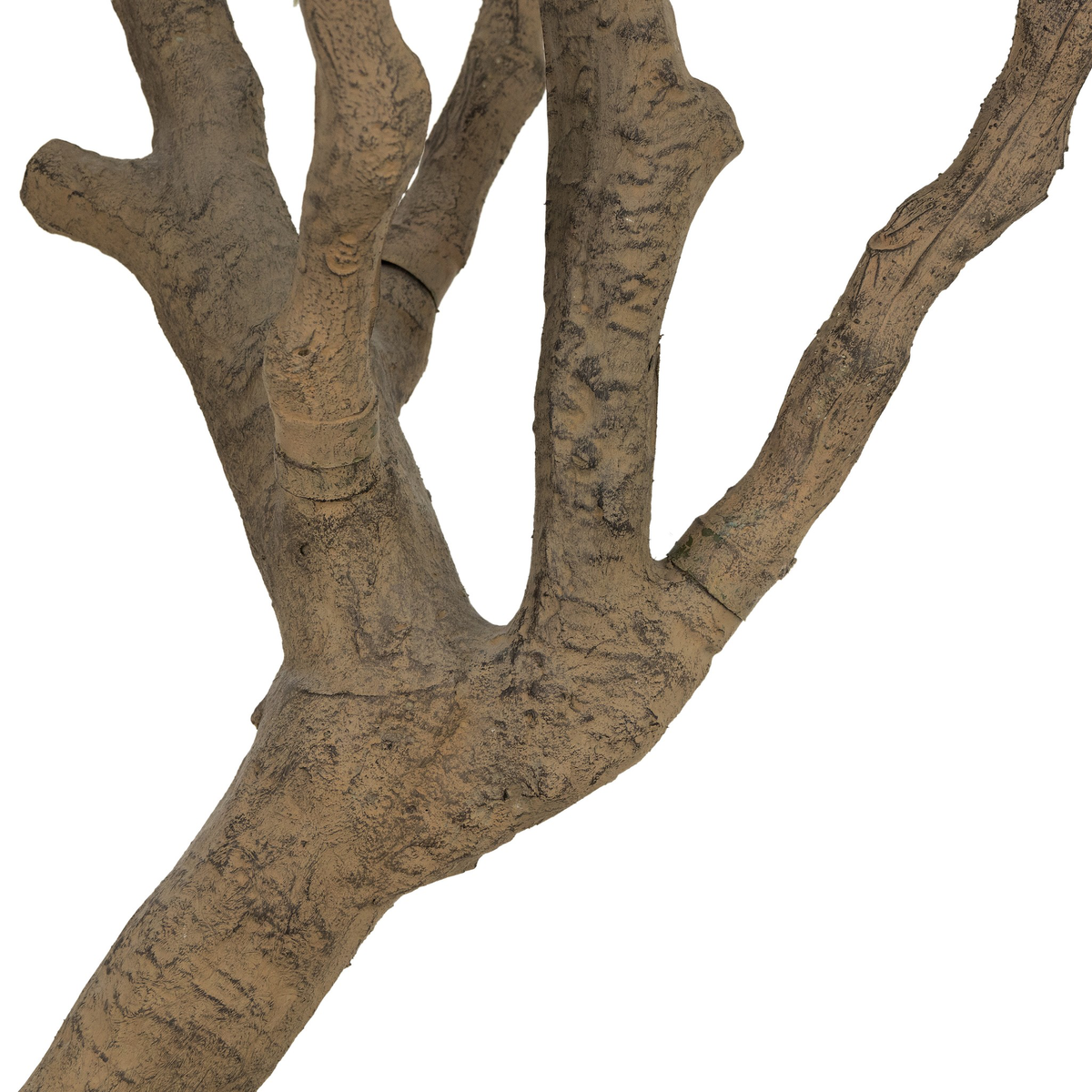 #color_faux-olive-tree-wide