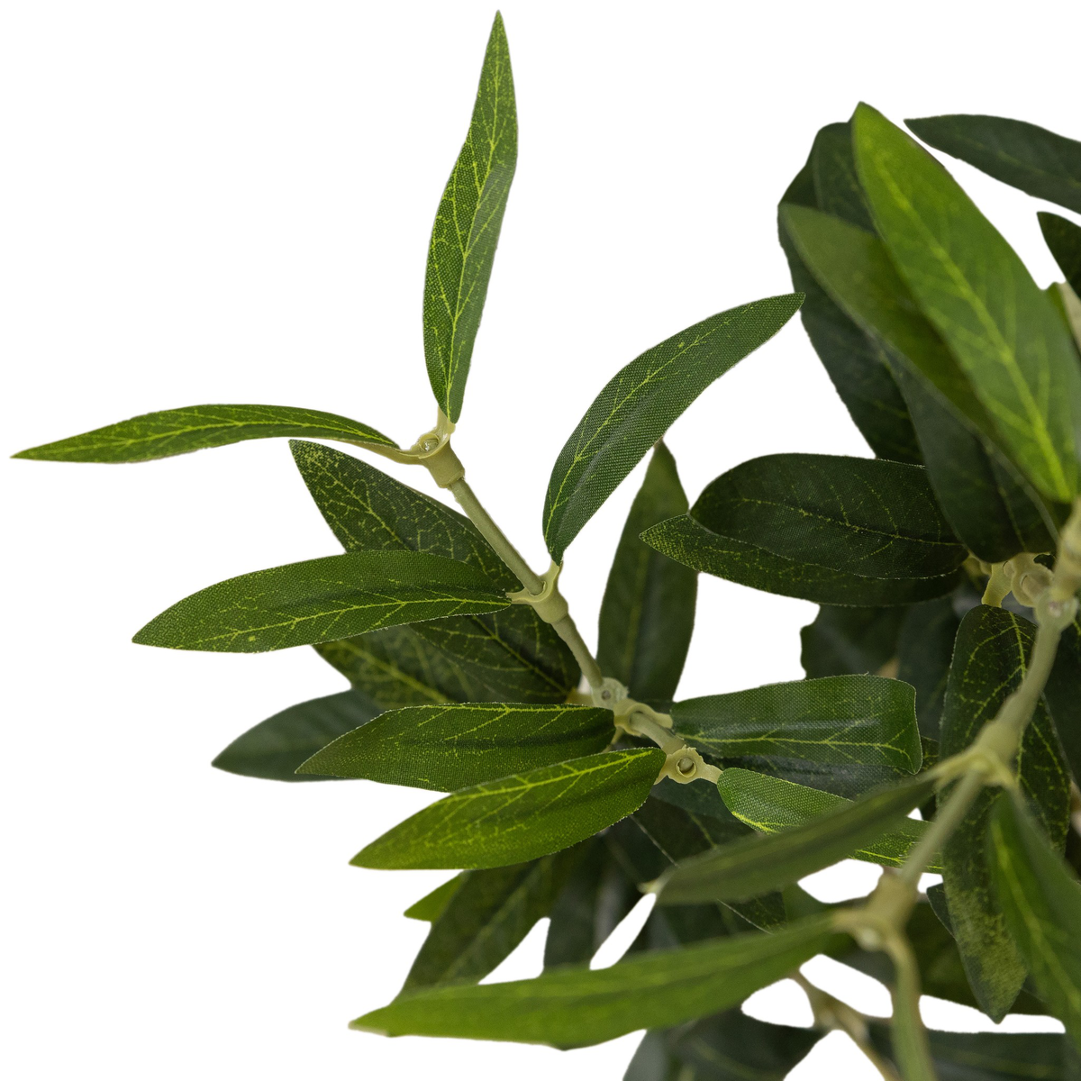 #color_faux-olive-tree-wide
