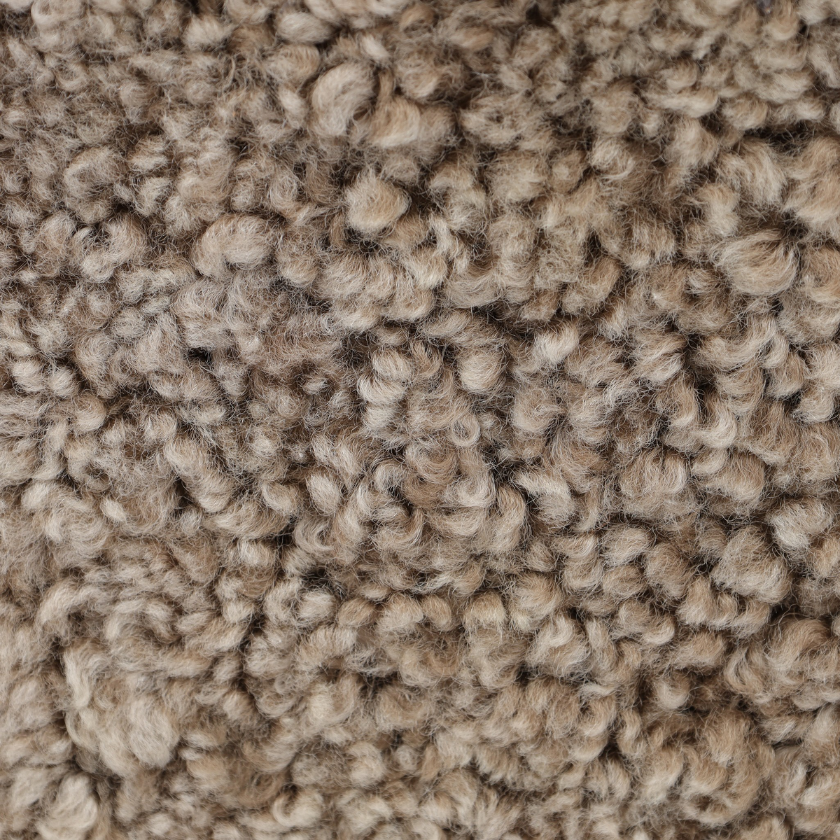 #color_taupe-shearling