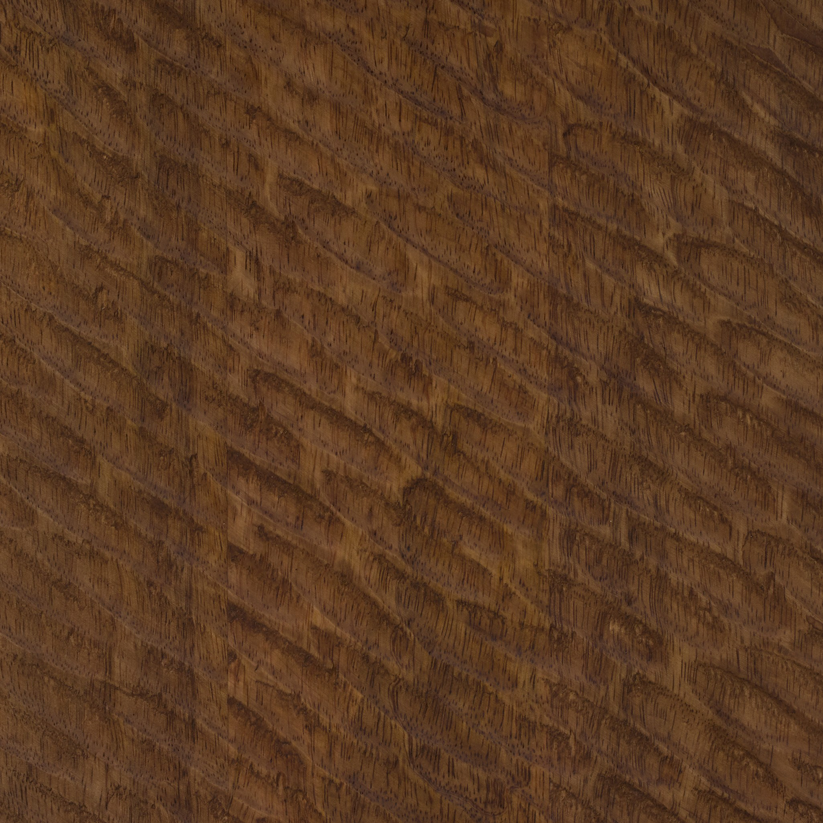 #color_warm-chestnut